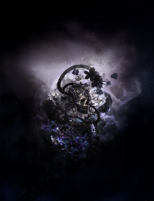 HY008-3.0 幽影 印花恤衫